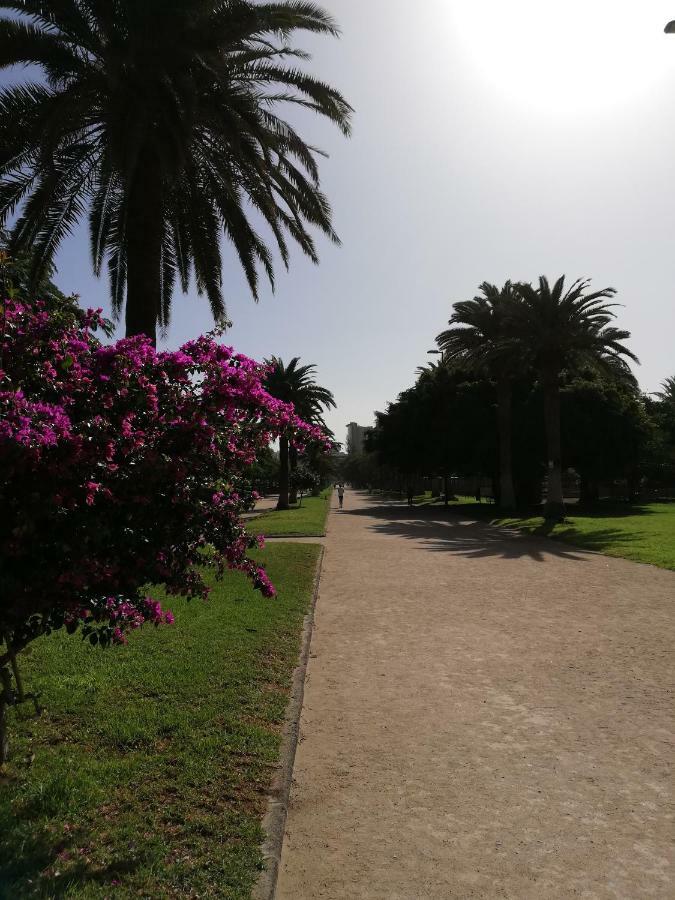 Apartamento La Marina-Ciudad Jardin ラスパルマス・デ・グランカナリア エクステリア 写真